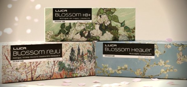BLOSSOM 대표 이미지